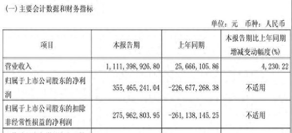 冠达配资 寒武纪一季度财报分析：营收大增与库存风险并存