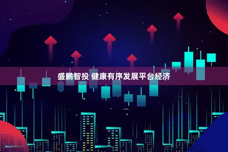 盛鹏智投 健康有序发展平台经济