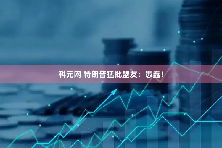 科元网 特朗普猛批盟友：愚蠢！