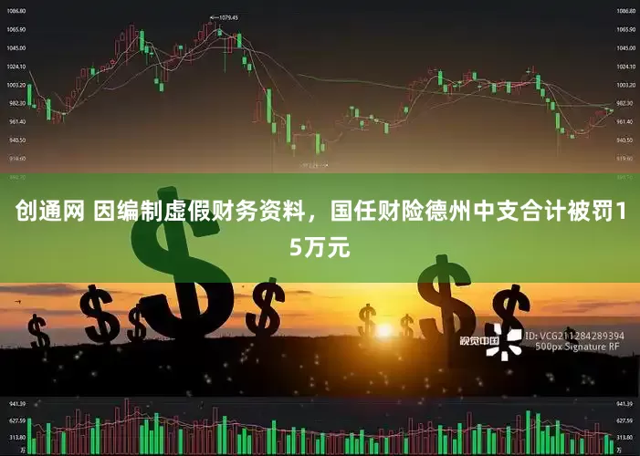 创通网 因编制虚假财务资料，国任财险德州中支合计被罚15万元